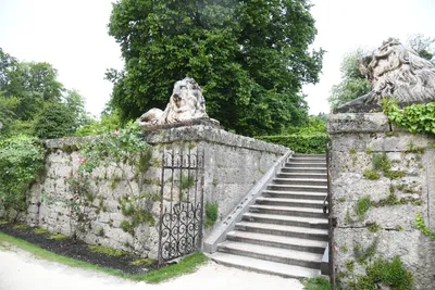 DSC_6111 (Large).JPG